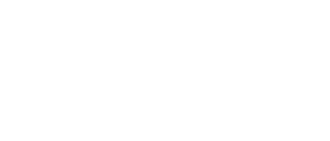 Blog Gridv S